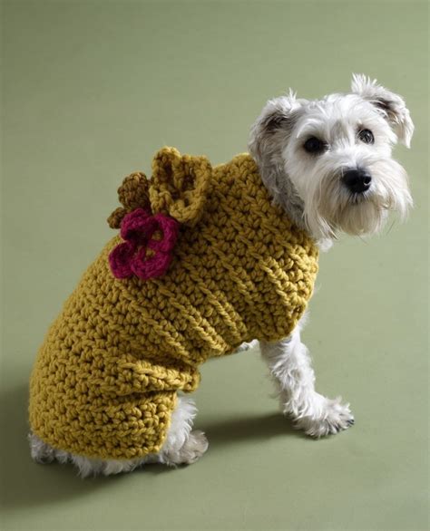 dog sweater crochet patterns free